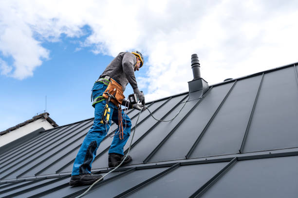 Best Skylight Installation and Repair  in Kingston, OK