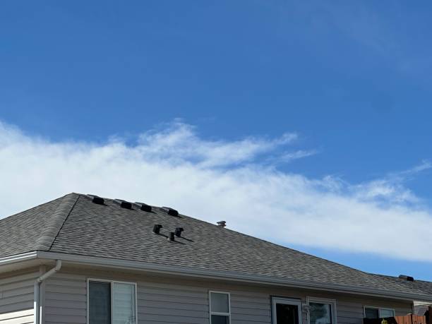 Best Steel Roofing  in Kingston, OK